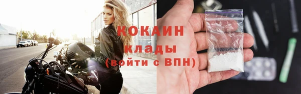 соль ск Инсар