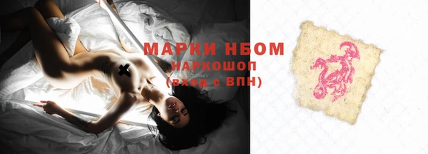 тгк Инта