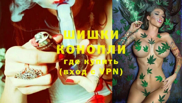 соль ск Инсар