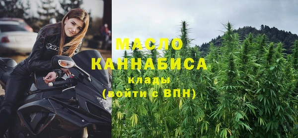 соль ск Инсар