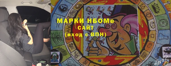 соль ск Инсар
