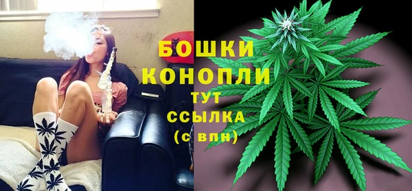соль ск Инсар