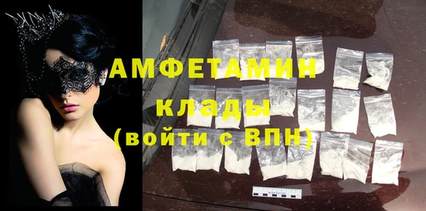 соль ск Инсар