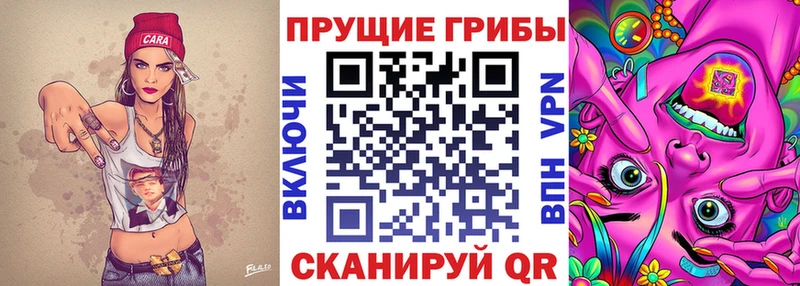 Купить  Похвистнево  Псилоцибиновые грибы прущие грибы 
